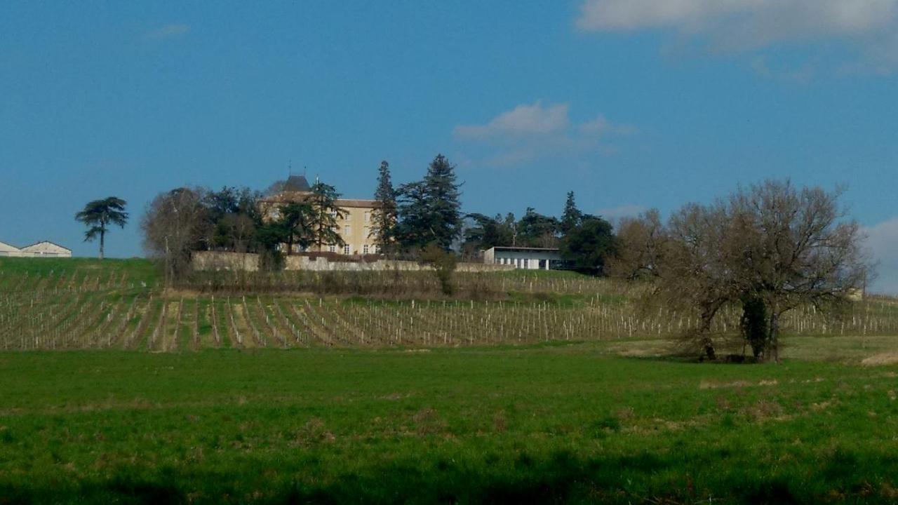 Hotel Chateau De Mons Armagnac 3*